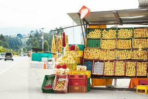 Traditional sale of fruits on the roads of the department of Boyaca in Colombia photo