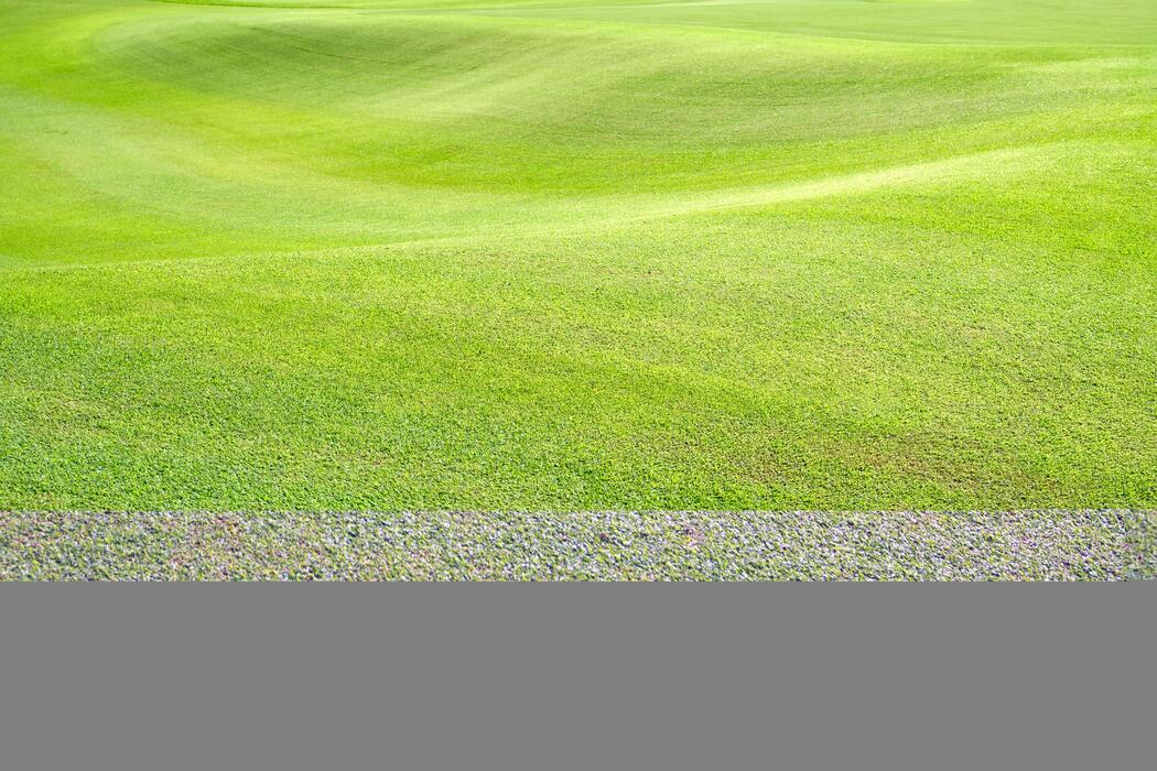 Golf Putting Green Stock Photos, Images and Backgrounds for Free Download