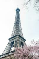 el famoso excursión eiffel cuando el primavera es sólo comenzando foto