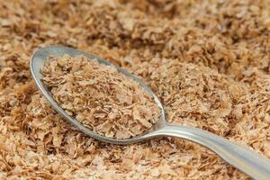 cucharada de trigo salvado. triticum aestivum foto