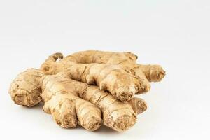 Ginger isolated on white background. Zingiber officinale photo