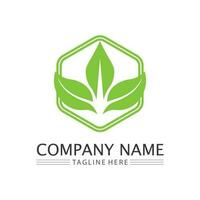 Eco Energy Vector Logo with leaf symbol. Green color with flash or thunder graphic. Nature and electricity renewable. This logo is suitable for technology, recycle, organic.