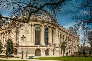Detail of the beautiful facade of the historical Petit Palais in a cloudy winter day just before spring in Paris photo
