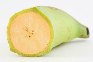 Plantain or Green Banana isolated in white background. Musa x paradisiaca photo