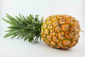 Pineapple isolated on white background. Ananas comosus photo