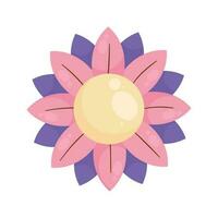 pink and purple flower icon vector