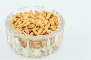 Oat grains into a small glass container. Avena sativa photo