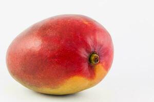 mango aislado en blanco antecedentes. mangifera Indica foto
