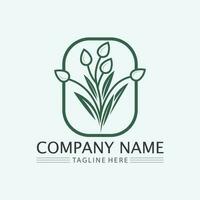 leaf logo design vector for nature symbol template editable,Green leaf logo ecology nature element vector icon.