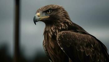 Majestic bald eagle perching, talons in focus generated by AI photo