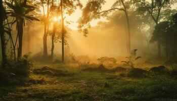 Mysterious forest, foggy dawn, tranquil beauty surrounds generated by AI photo
