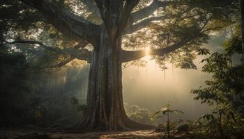 Silhouette of animals in tranquil forest scene generated by AI photo