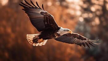 untado alas, majestuoso calvo águila toma vuelo generado por ai foto