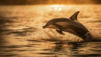 Playful bottle nosed dolphin jumping in sunset waves generated by AI photo