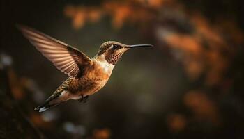 Hummingbird flapping wings, hovering mid air, vibrant colors generated by AI photo