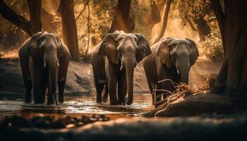 African elephant herd walking at sunset in nature generated by AI photo