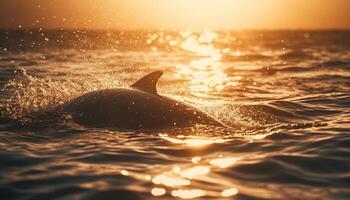 Playful dolphin splashing in tranquil seascape reflection generated by AI photo