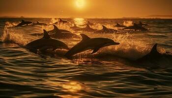 juguetón delfines saltando en el puesta de sol mar generado por ai foto