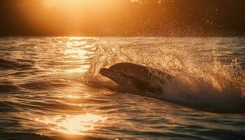 silueta de juguetón delfín en tropical puesta de sol generado por ai foto