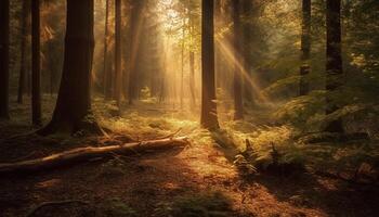 Sunlit forest path leads to autumn mystery generated by AI photo