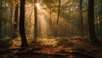 tranquilo bosque camino, otoño hojas debajo de los pies generado por ai foto