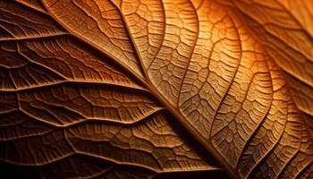 Vibrant leaf vein pattern on yellow backdrop generated by AI photo