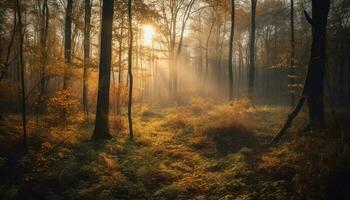 Autumn forest glows in vibrant gold sunlight generated by AI photo