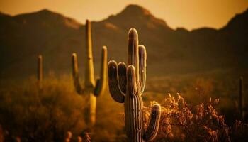 Silhouette of saguaro cactus at sunset generated by AI photo