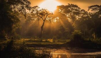 Silhouette of tree back lit by sunset generated by AI photo