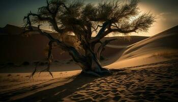silueta de árbol en arena duna a puesta de sol generado por ai foto