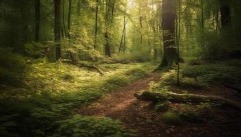 tranquilo escena de vibrante verde bosque crecimiento generado por ai foto