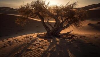 Tranquil scene of ripples on sand dune generated by AI photo