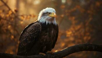 Bald eagle perching majestically on tree branch generated by AI photo