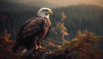 Majestic bird of prey perching on branch generated by AI photo