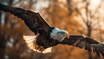 Spread wings, majestic bald eagle in flight generated by AI photo