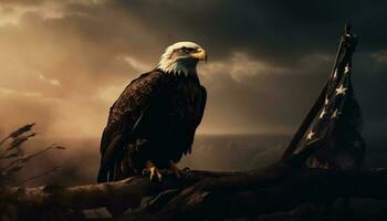 Majestic bald eagle perching on tree branch generated by AI photo