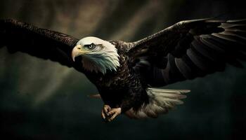 Spread wings, majestic bald eagle in flight generated by AI photo