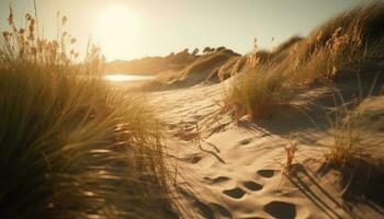 Sunset over sand dunes, tranquil beauty in nature generated by AI photo