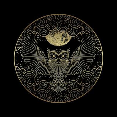 Golden Owl in Moonlight Enchanting Line Art with Clouds