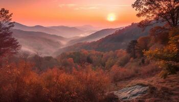 Autumn forest glows with vibrant multi colored leaves generated by AI photo