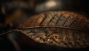 Vibrant leaf vein pattern on yellow tree generated by AI photo