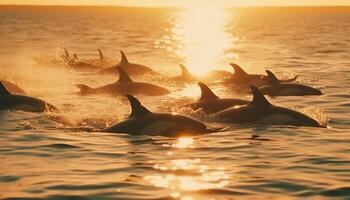 juguetón delfines nadar en el tranquilo puesta de sol generado por ai foto