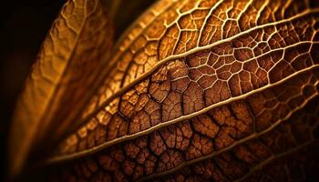 Vibrant yellow leaf vein, backlit on black generated by AI photo