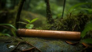 Fresh green leaf on wet forest branch generated by AI photo