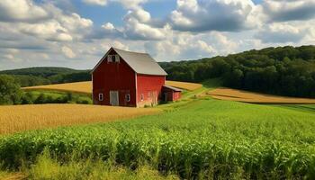 Green meadow, rustic barn, blue sky, tranquil scene generated by AI photo