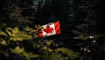 Majestic maple tree symbolizes Canadian patriotism and freedom generated by AI photo