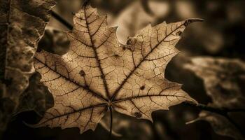 Vibrant maple leaf vein, symbol of autumn generated by AI photo
