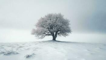 Tranquil winter forest, snow covered pine trees generated by AI photo