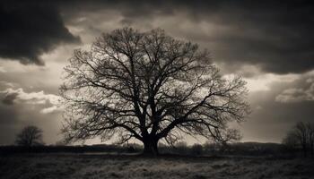 silueta de árbol trompa, escalofriante y solitario generado por ai foto