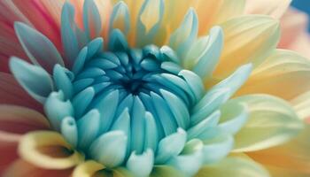 vibrante pétalos de multi de colores margarita florecer generado por ai foto